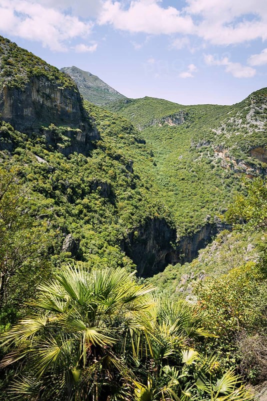 Wooded slopes