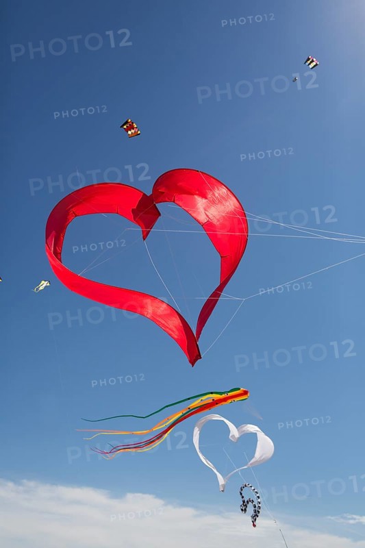 Various kites