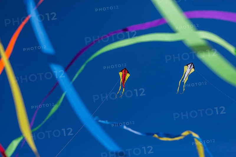 Kites in front of blue skies on the beach