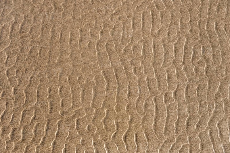 Wave structure on the beach at low tide