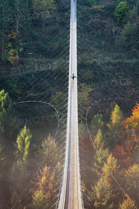 Hanging rope bridge Geierlay
