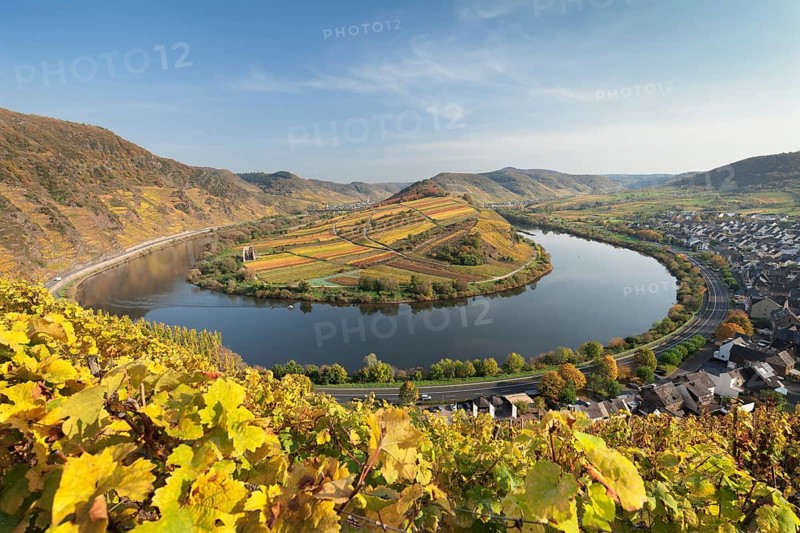 Moselschleife in autumn