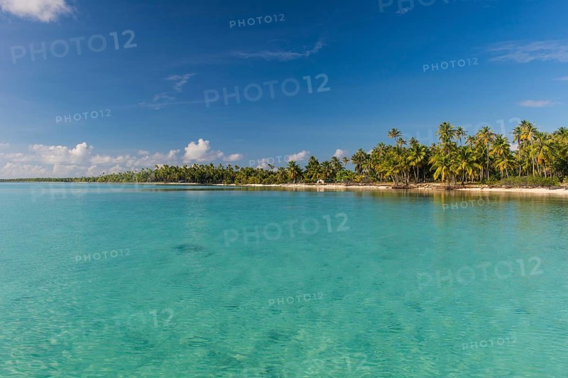 Palm fringed sandy beach in the turquoise waters of Tikehau