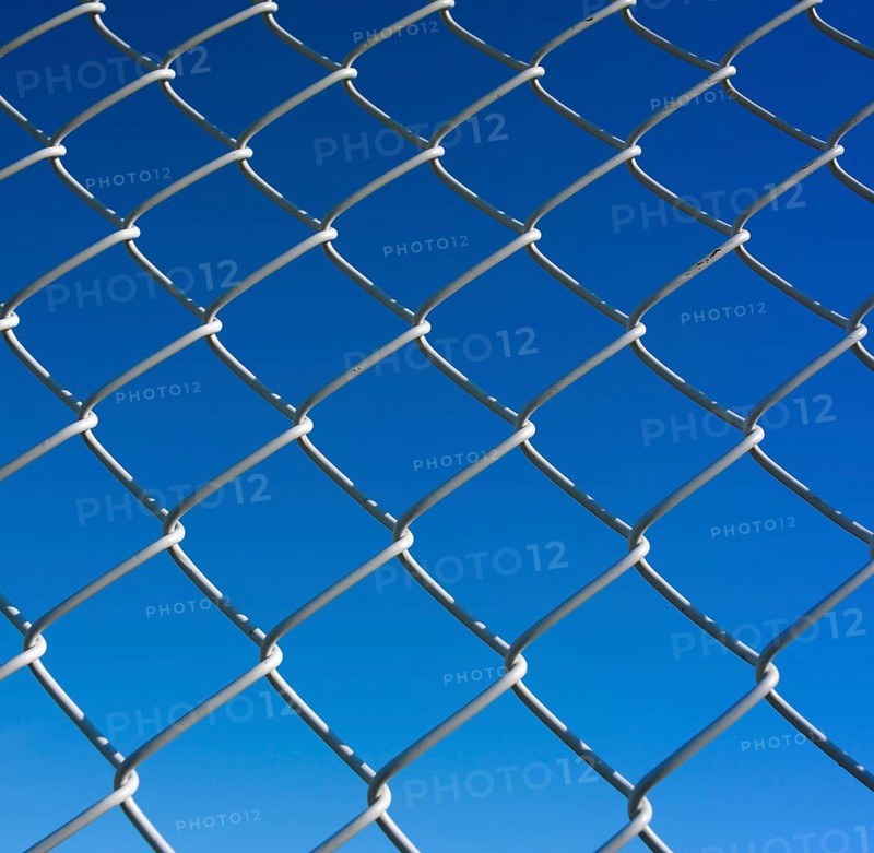 Wire mesh fence