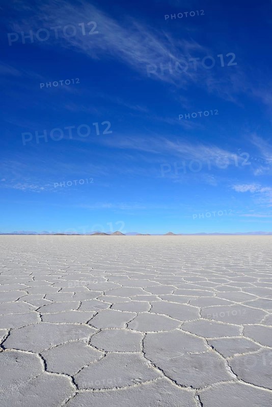 Honeycomb structure on the salt lake