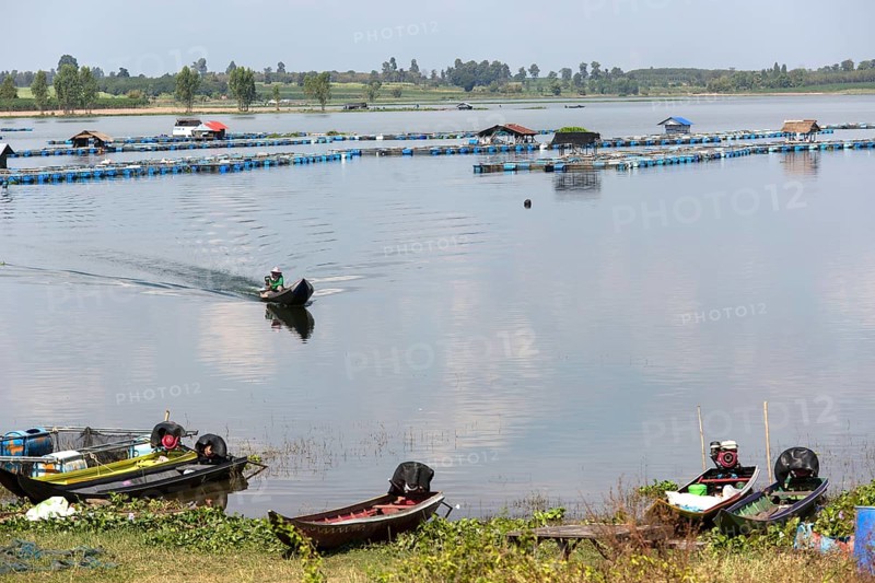 Freshwater fish farm in Lam Pao River
