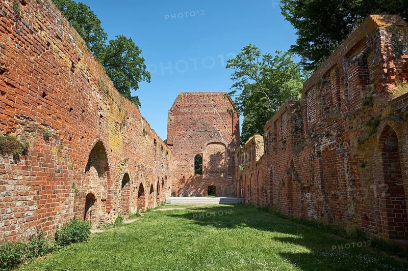 Eldena Monastery Ruin in Greifswald