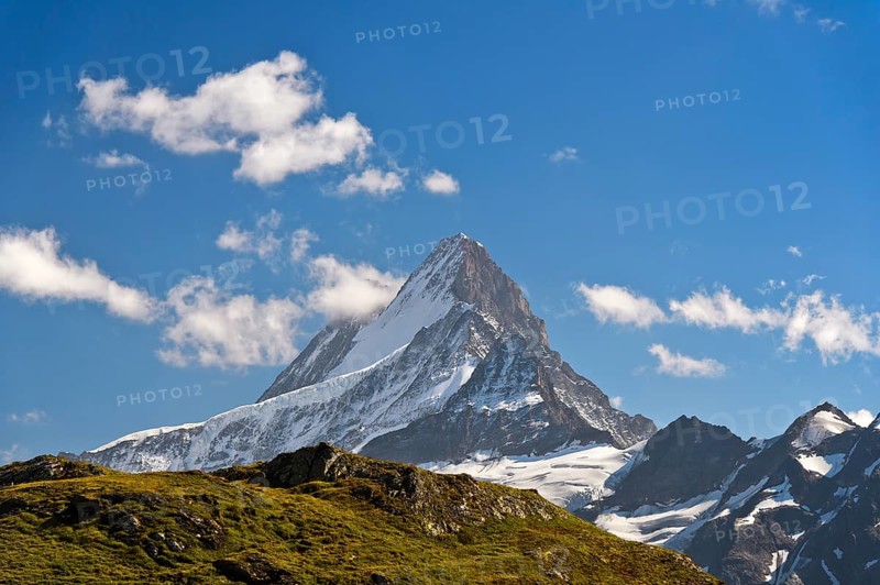 In the hiking area Grindelwald First
