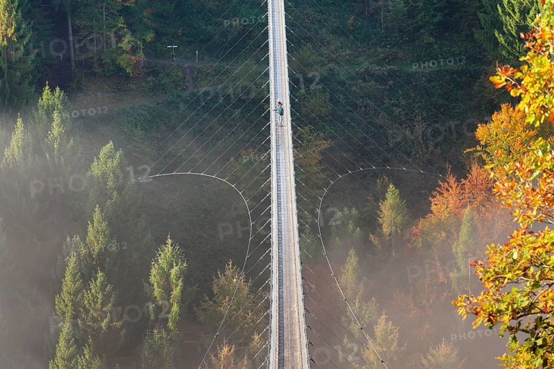 Hanging rope bridge Geierlay