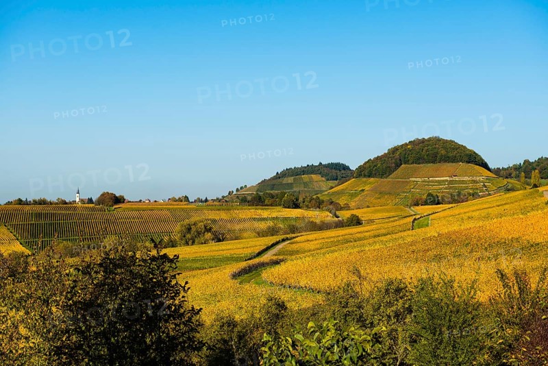 Winzerdorf and cultural landscape in autumn