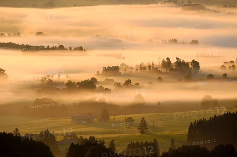 Hilly landscape with morning fog
