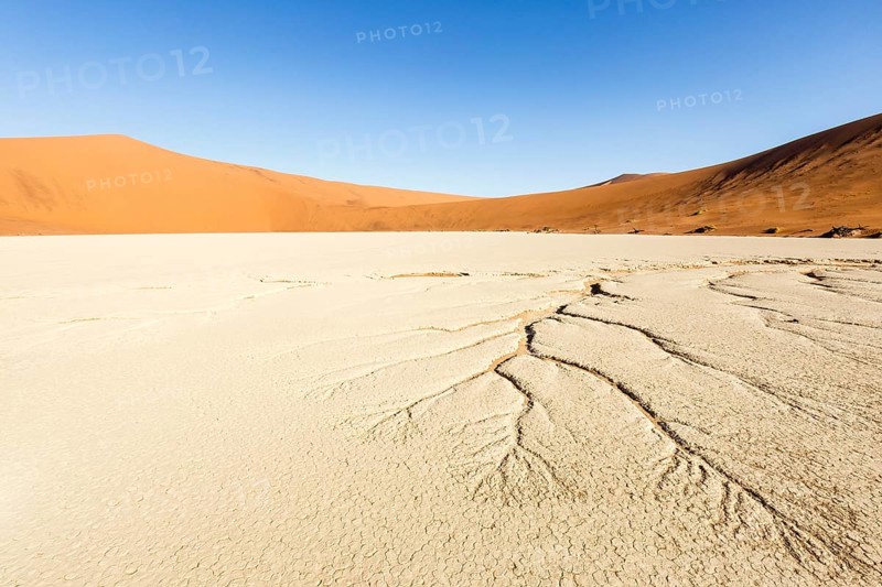 Water veins in the dry soil
