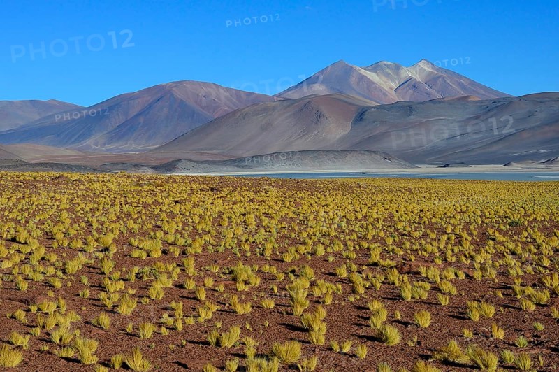 Lagune Salar de Talar mit kahlen Bergen Cerros de Incahuasi und Paso de Sica