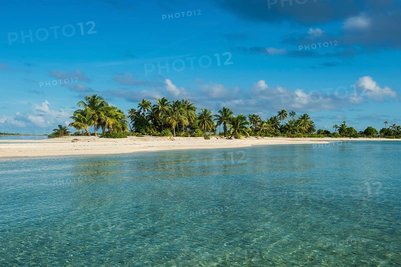 Palm fringed white sand beach in the turquoise waters of Tikehau