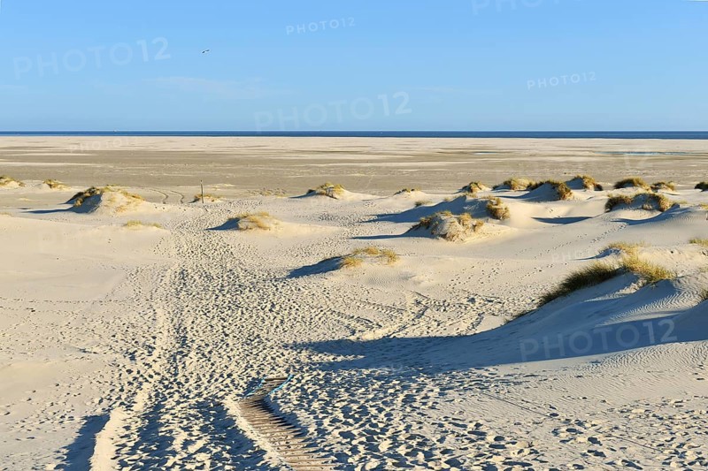 Dune crossing with footprints and Kniepsand to the horizon