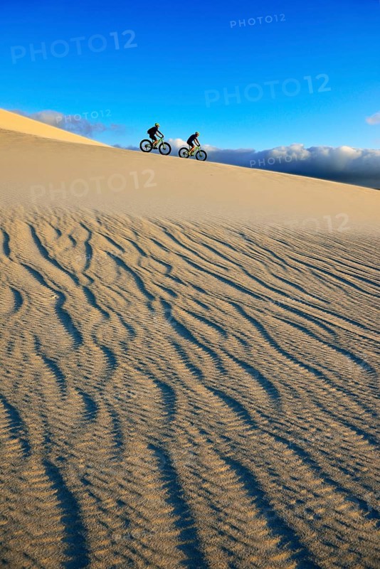 Cycling tour with fatbikes at Die Plaat Beach