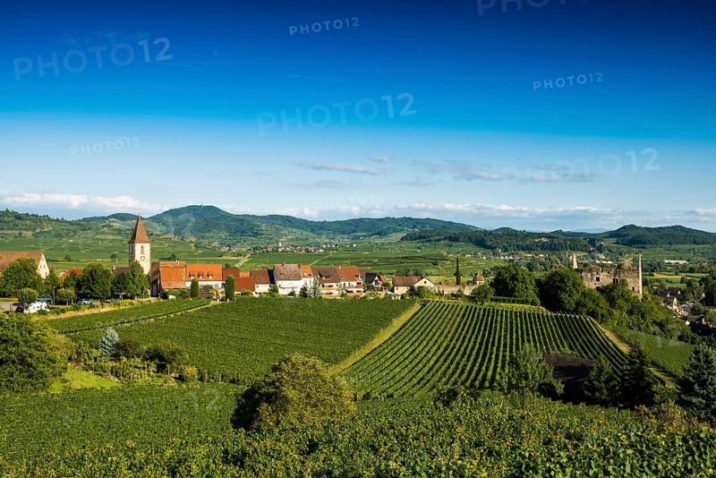 Wine village and cultural landscape in autumn