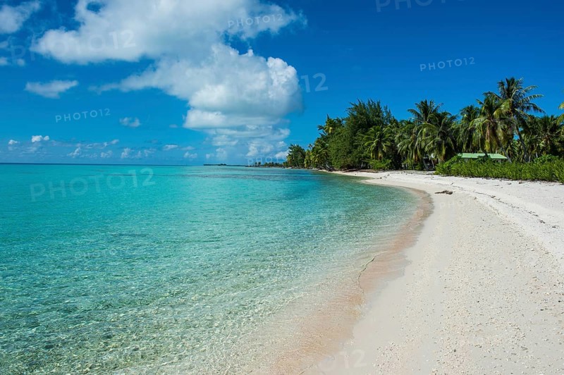 Palm fringed white sand beach in the turquoise waters of Tikehau
