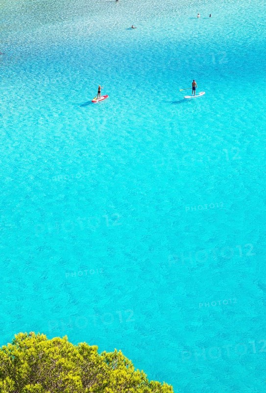 People paddleboarding