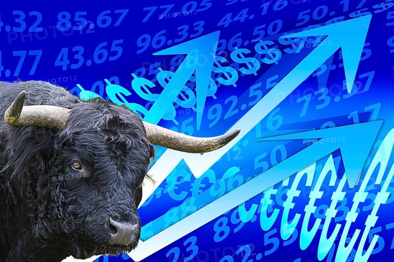Bull