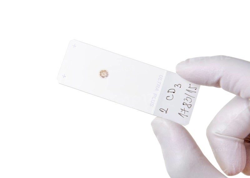 Microscope slide