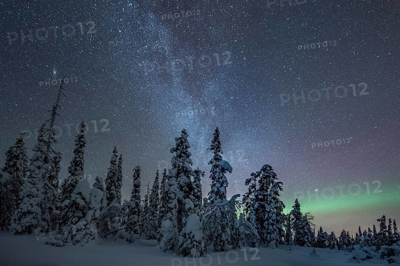 Starry sky with Milky Way and northern lights over snow-covered trees