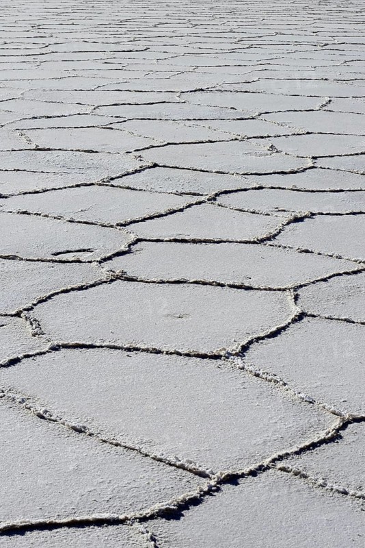 Honeycomb structure on the salt lake