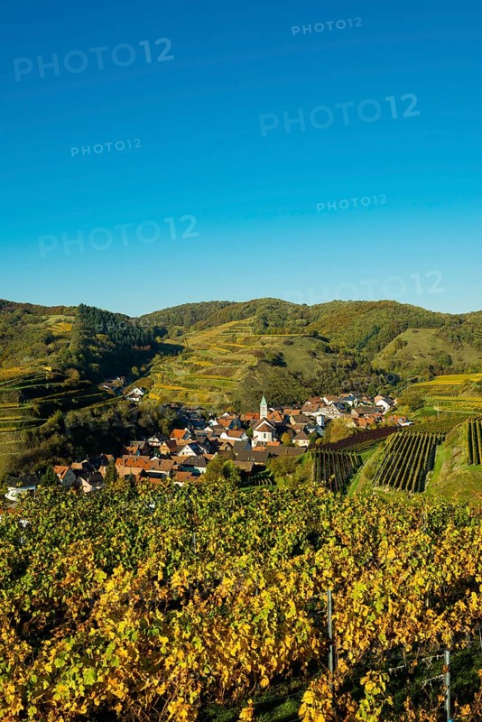 Village in the vineyards in autumn