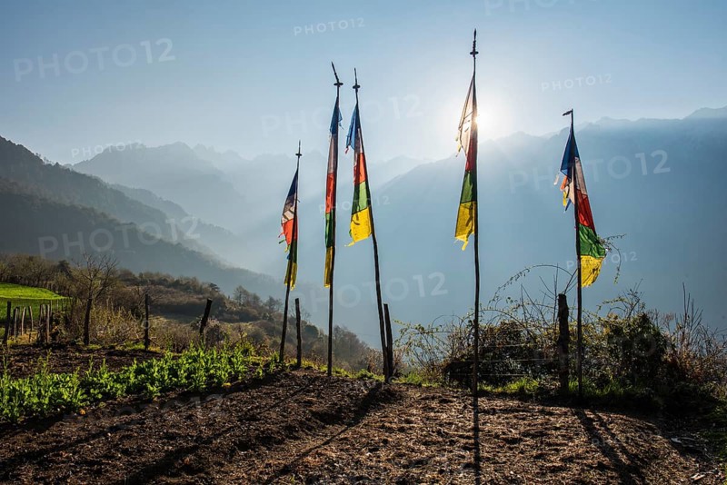 Prayer flags at the edge of the field