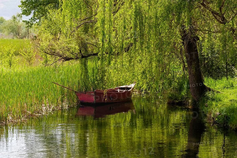 Old boat in the lake on the shore