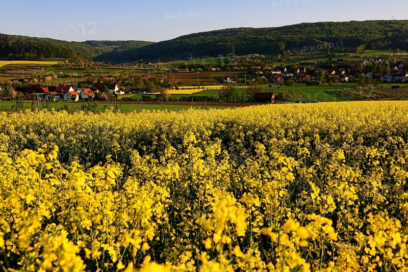 Trubachtal near Wannbach