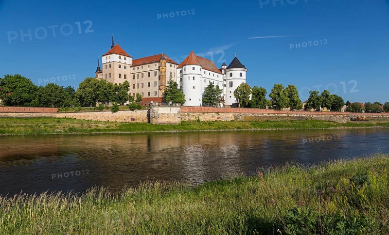 Castle Hartenfels with Elbe