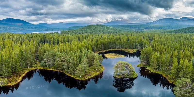 Overview of Loch Morlich
