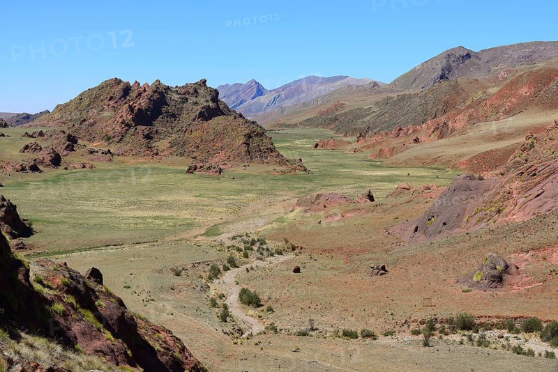 Grazing horses in Valle Encantado Valley