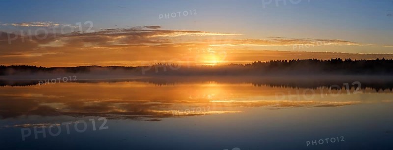 Dawn