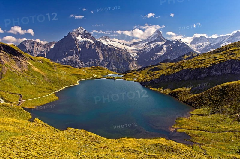 Alpine landscape with lake Bachalpsee and the summit Wetterhorn