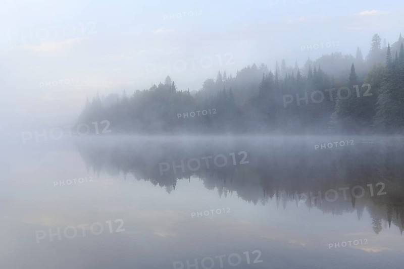 Morning mist