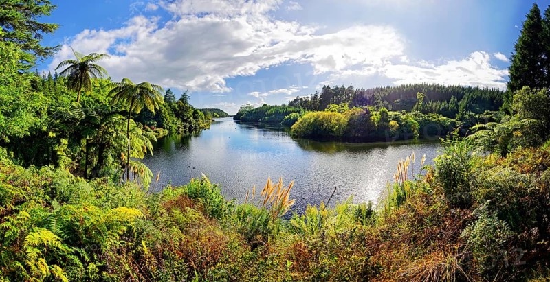 Idyllic lake in the middle of tropical rainforest