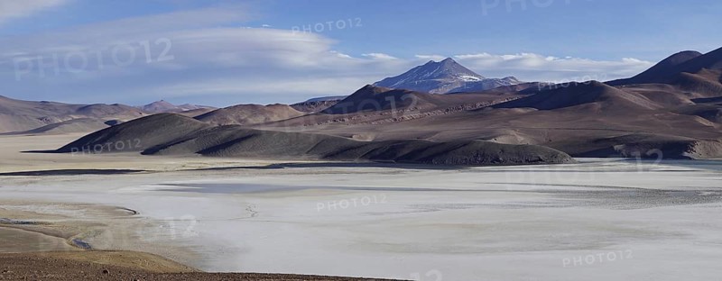 Laguna Santa Rosa with the volcano Nevado Ojos del Salado
