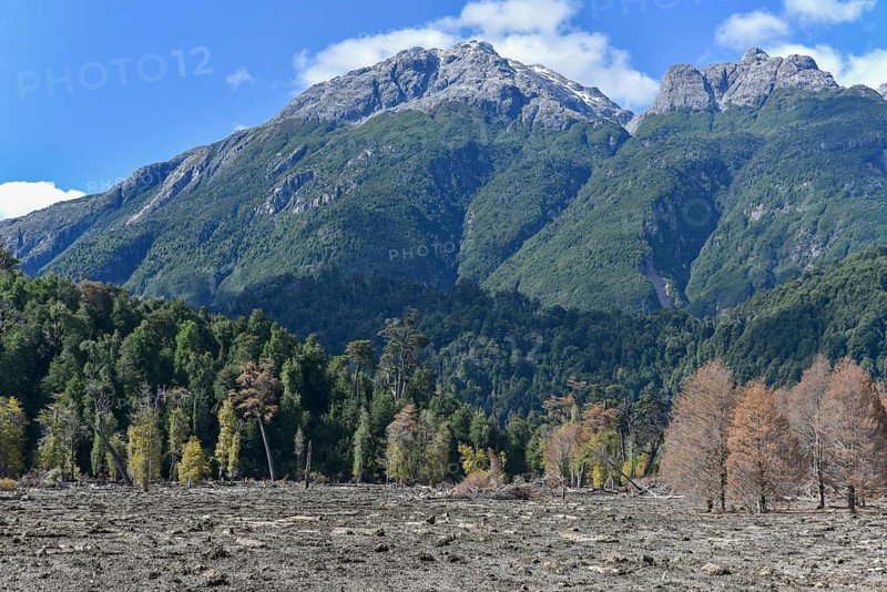 Destroyed forest by a landslide in Villa Santa Lucia