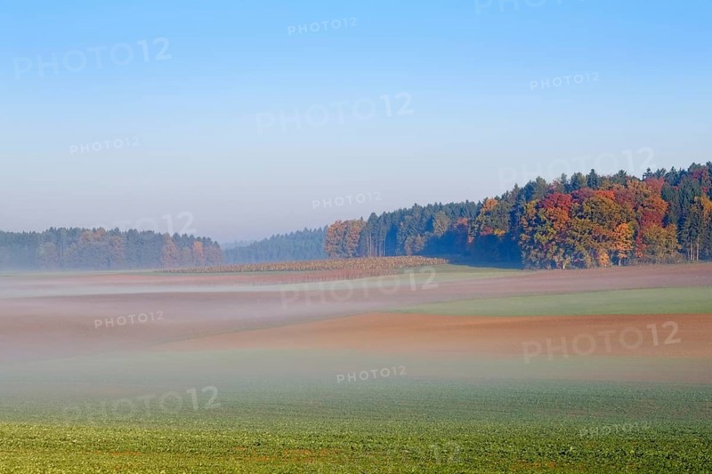 Morning mist near Perletzhofen near Riedenburg