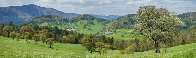 Spring Landscape with mountains Hocheck