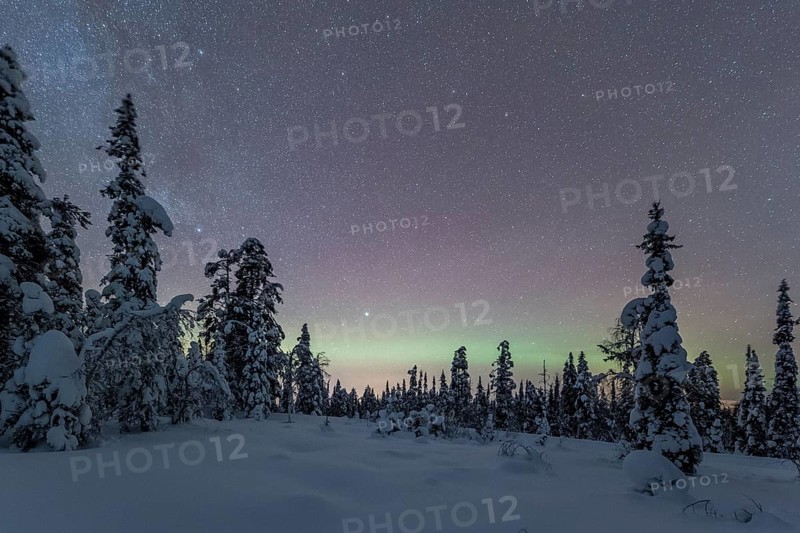Starry sky with Milky Way and northern lights over snow-covered trees