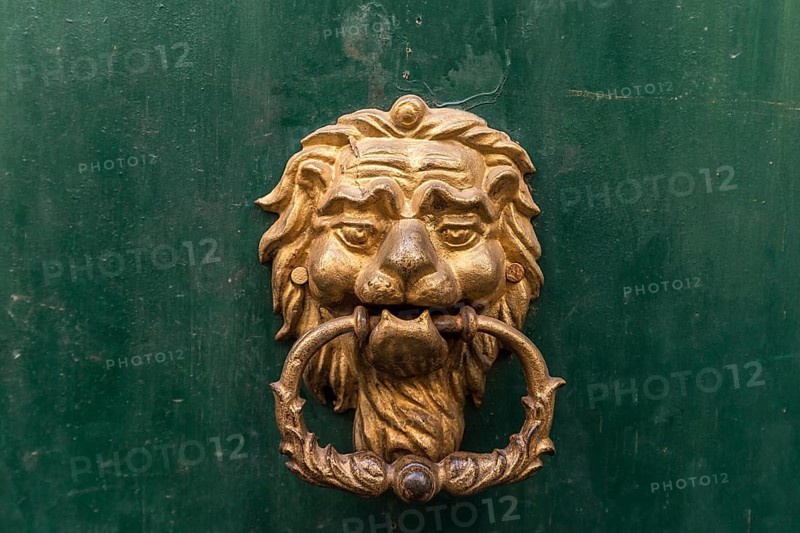 Door knocker