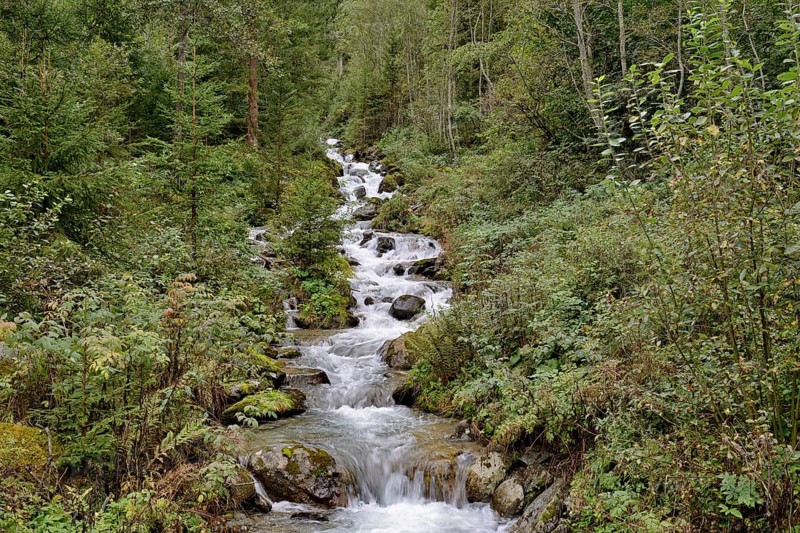 Gartlbach
