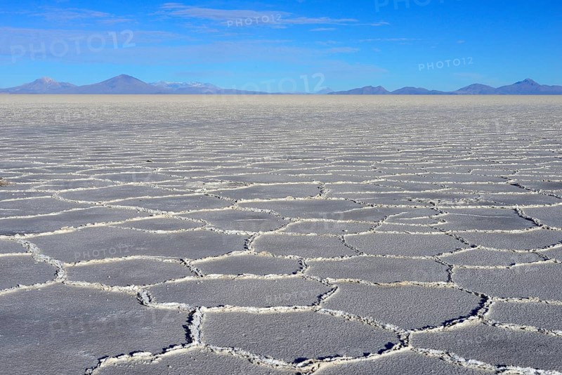 Honeycomb structure on the salt lake