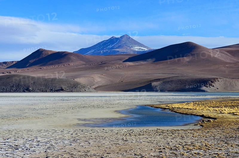 Laguna Santa Rosa with the volcanoes Nevado Ojos del Salado