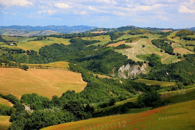Hilly landscape between Sassocorvaro and Urbino