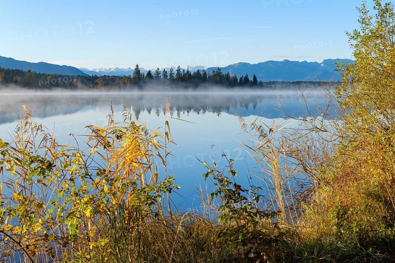 Early mist at Kirchsee