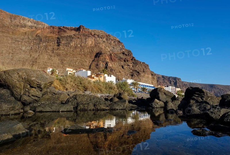 Tidal Pool